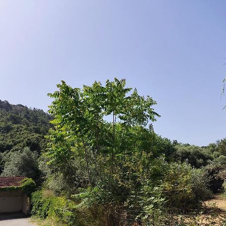Callas Residence Ialysos  Ngoại thất bức ảnh
