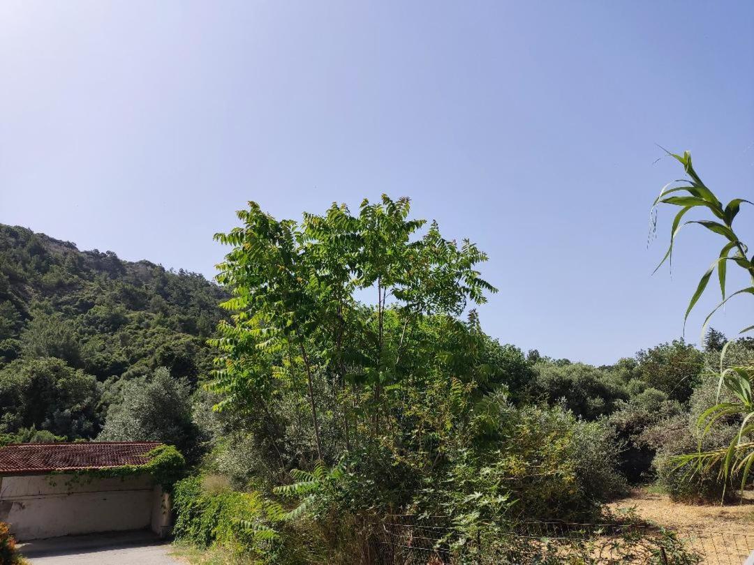 Callas Residence Ialysos  Ngoại thất bức ảnh